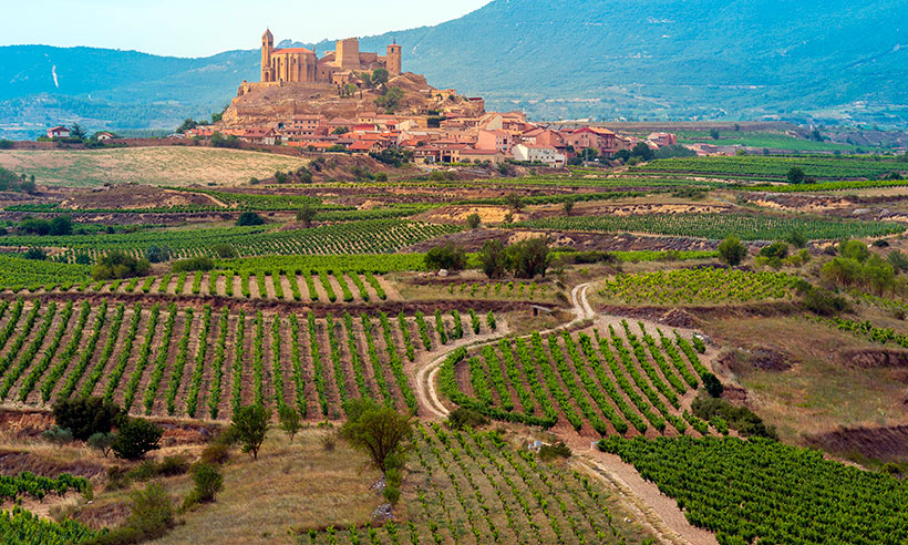 Vinos La Rioja: opiniones, precios, compra, selección, variedades…